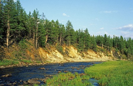 Истоки реки Оленек